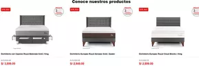 Catálogo Paraiso del Perú en Lima | Conoce nuestros productos  | 2025-04-24T00:00:00.000Z - 2025-04-27T00:00:00.000Z