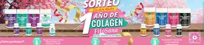 Catálogo Fitosana | 1 ano de colagen  | 2025-05-05T00:00:00.000Z - 2025-05-31T00:00:00.000Z