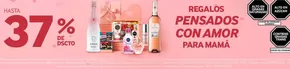 Catálogo Perufarma | Hasta 37% de dscto con amor para mama | 2025-05-08T00:00:00.000Z - 2025-05-15T00:00:00.000Z