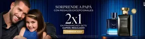 Catálogo L'Bel | Sorprende a Papá | 2025-06-10T00:00:00.000Z - 2025-06-15T00:00:00.000Z