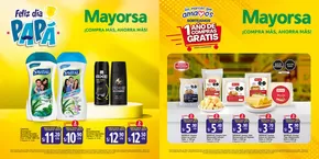 Catálogo Mayorsa | Mayorsa Ofertas | 2025-06-11T00:00:00.000Z - 2025-06-24T00:00:00.000Z