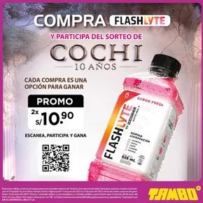 Catálogo Tambo en Trujillo | Compra Flashlyte | 2025-06-11T00:00:00.000Z - 2025-06-24T00:00:00.000Z